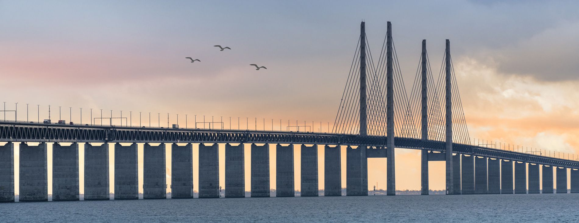 Nieuwe header SCS 1900x732_v2